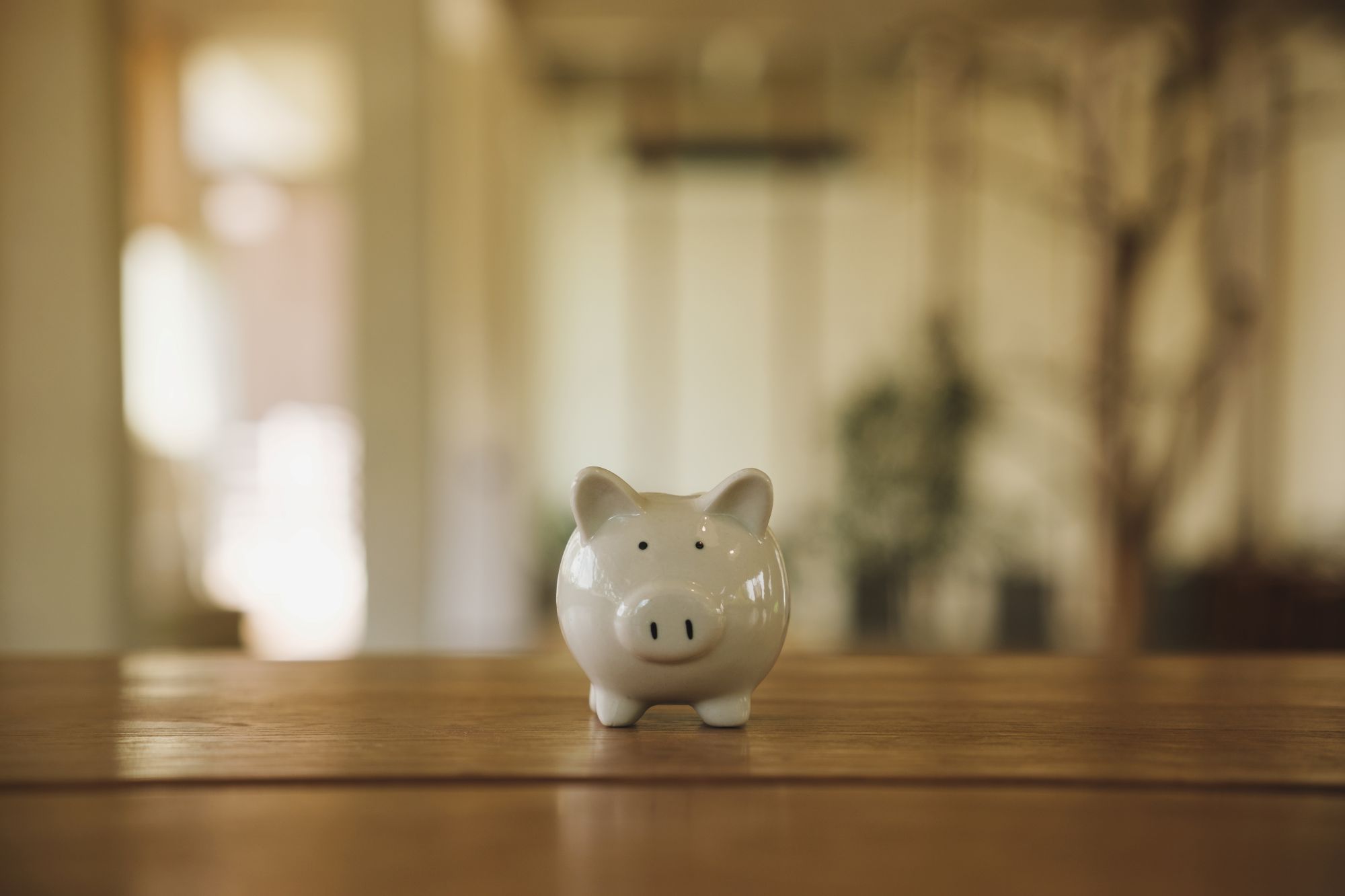 専業主婦(夫)の「タンス預金」とFIRE－相続まで考えていますか？
