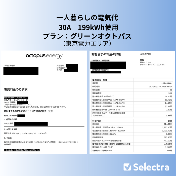 オクトパスエナジーの実際の請求書