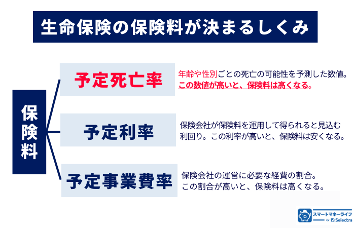 保険料が決まる要素3つ